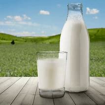 milk of human kindness